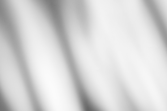 shadow overlay effect of natural tree leaves or window shadow over on white wall background,realistic summer abstract shadow overlap - Powered by Adobe