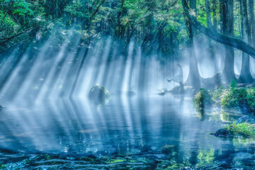 fantastic forest mototaki akita