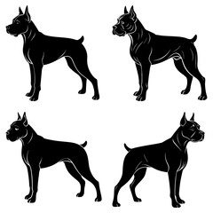 Four black silhouette illustrations of cane corso dogs standing in various poses on a white background