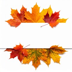 Fototapeta premium Colorful Autumn Maple Leaves Frame on White Background