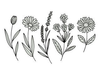 Set monochrome simple leaves botanical branches with stem and foliage vector illustration
