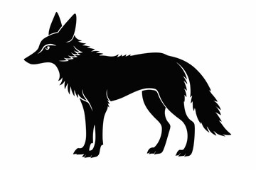 jackal sihouette black vector