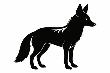 jackal sihouette black vector
