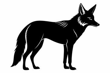 jackal sihouette black vector