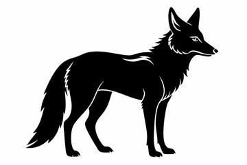 jackal sihouette black vector