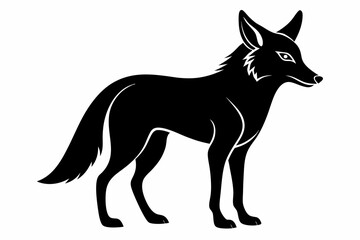 jackal sihouette black vector