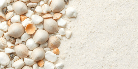 Texture and shells on a beach with white stones isolated pastel background Copy space