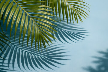 Naklejka premium Palm fronds cast long, striking shadows on a vibrant blue background, evoking a tropical and serene atmosphere