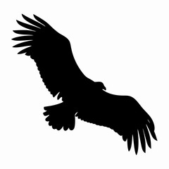 Obraz premium Silhouette of Flying Eagle with Spread Wings Isolated on White Background 