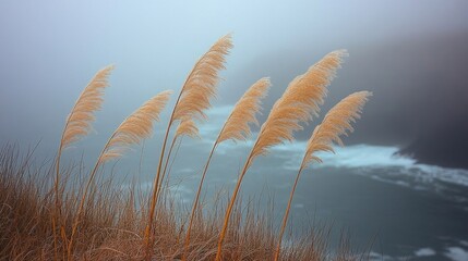 Obraz premium Tall Golden Grass on Hillside with Overcast Sky Background Landscape