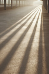 minimalistic photograph of solar panel casting long shadows on solar energy farm in usa