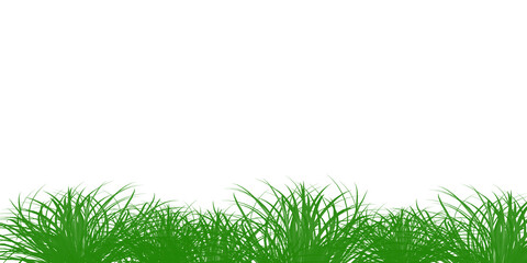 green grass isolated on white background