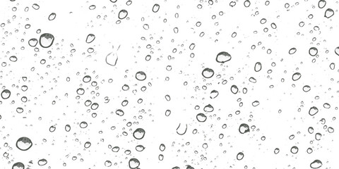 water drops background