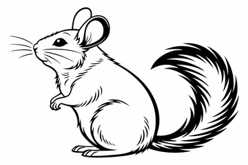 chinchilla sihouette black vector
