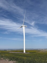 Fototapeta premium wind turbine in the wind