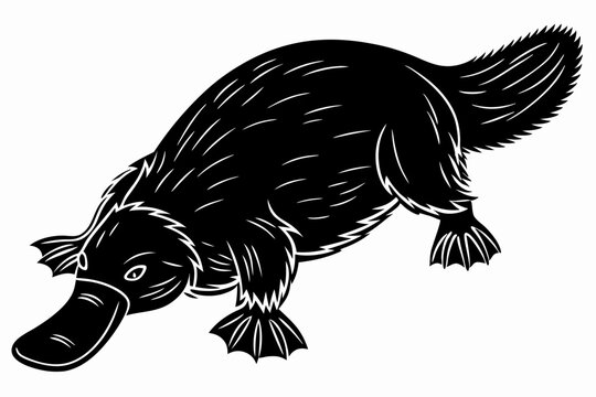 platypus sihouette black vector