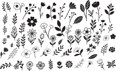 Black and White Floral and Botanical Design Elements
