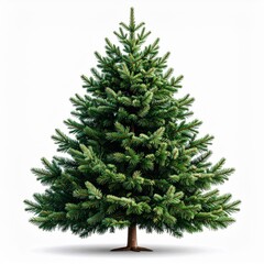 Green Christmas Tree on White Background
