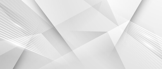 gray and white abstract background modern vector illustration