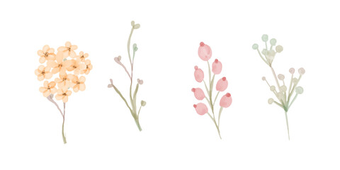 hand art watercolor wild flowers isolated on white