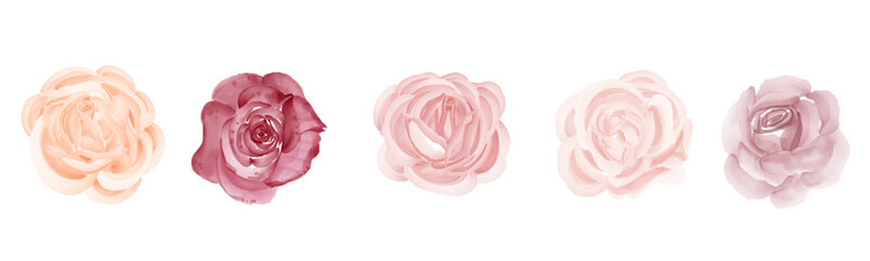 vector flower bouquet set isolated