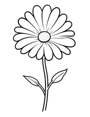 Black and white color pages