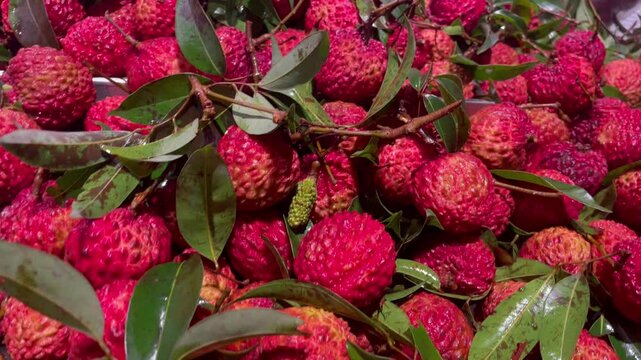 Freshly picked ripe lychees, ready for sale at the market.