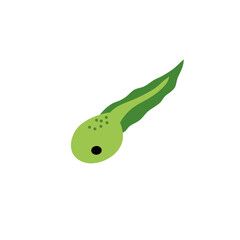 Cartoon green tadpoles vector illustration 