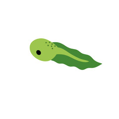 Cartoon green tadpoles vector illustration 