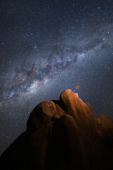 A small tree grows from a granite rock formation under the Milky Way, Spitzkoppe, Namibia.