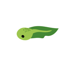 Cartoon green tadpoles vector illustration 