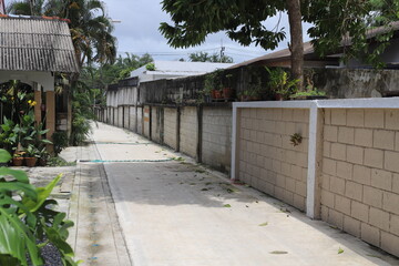 Quiet residential alley in tropical Asia with concrete walls, potted plants, and scattered leaves. Peaceful street scene on a cloudy day.