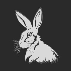 white rabbit vector illustration