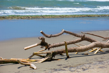 Tropical Beach Scene in Cabarete, Dominican Republic