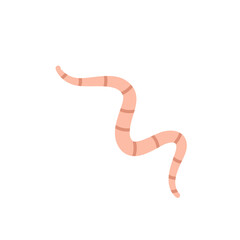 Cartoon earth worms vector illustration 