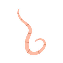 Cartoon earth worms vector illustration 