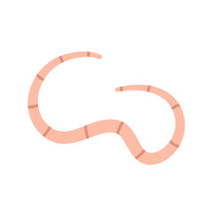 Cartoon earth worms vector illustration 