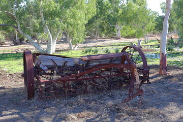 Vintage, old, rusty agriculture, farming equipment abandoned in remote Australian Outback, amongst Eucalyptus trees. History, nostalgia, scrap, collection, travel and tourism