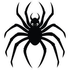 Obraz premium Black spider silhouette halloween design element