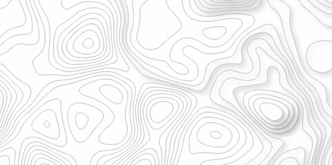 The patter discovery vector topo map creative discovery White wave grid stripe line map topography. vector geographic contour mounted map background.	