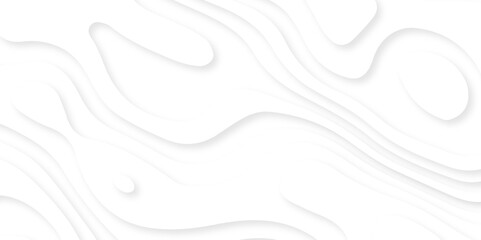 The patter discovery vector topo map creative discovery White wave grid stripe line map topography. vector geographic contour mounted map background.	