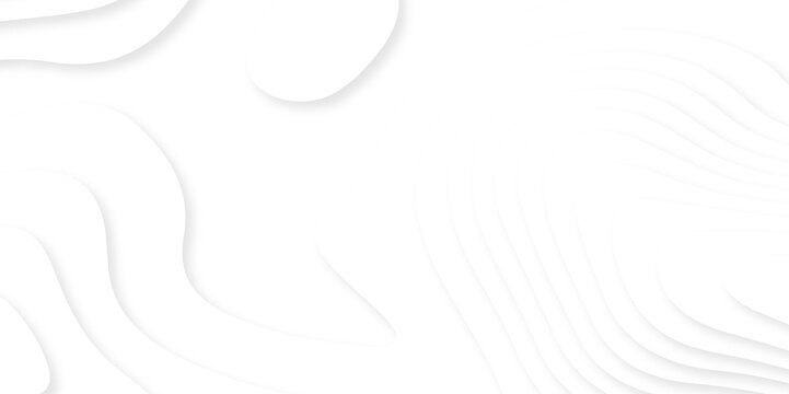 The patter discovery vector white papercut creative discovery White wave grid stripe light decoration luxury banner web design.