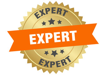 expert. expert round orange and gold label isolated on transparent background
