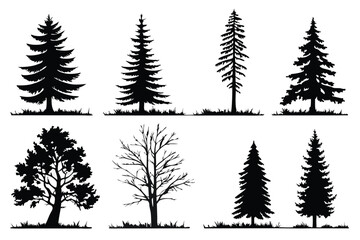 Obraz premium Silhouetted Trees Vector Illustration Variety of Deciduous Evergreen and Bare Trees in Black and White