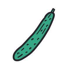 きゅうりの輪郭あり手描きカラーイラスト