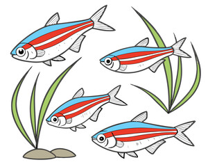 Collection set of A neon tetras with glowing blue and red stripes In different perspectives