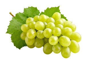 Obraz premium Green vineyard grapes cluster isolated on white background.