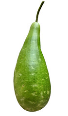 closeup of a calabash or bottle gourd isolated on a transparent background