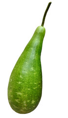closeup of a calabash or bottle gourd isolated on a transparent background
