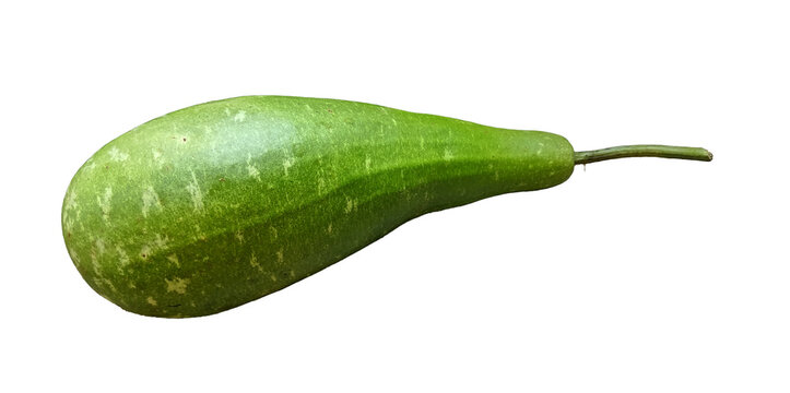 closeup of a calabash or bottle gourd isolated on a transparent background